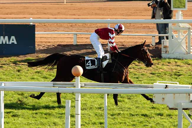 Arrivée quinté pmu PRIX DE LA PICARDIE à CAGNES-SUR-MER