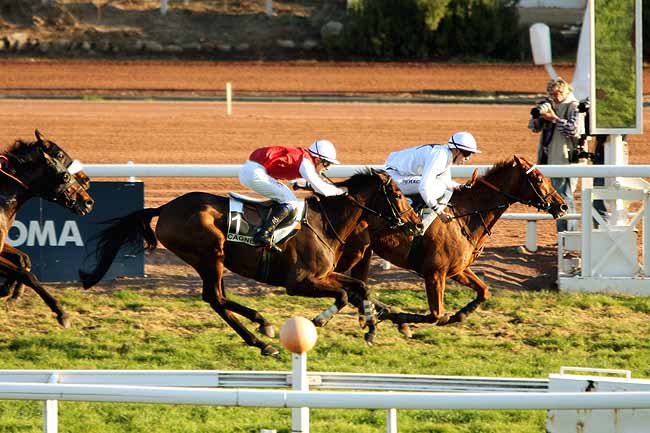 Arrivée quinté pmu PRIX DE LA VENDEE à CAGNES-SUR-MER