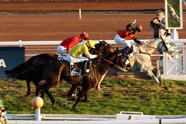 Arrivée quinté pmu PRIX DE LA BOURGOGNE à CAGNES-SUR-MER