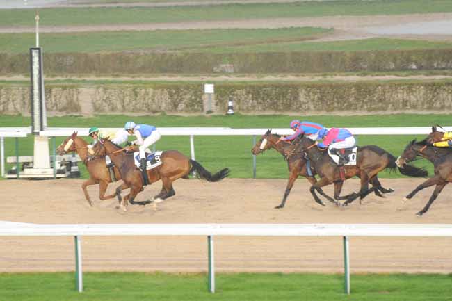 Arrivée quinté pmu PRIX DE BERD'HUIS à DEAUVILLE