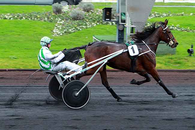 Arrivée quinté pmu PRIX D'ANGOULEME à PARIS-VINCENNES