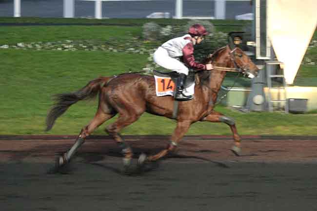 Arrivée quinté pmu PRIX DE NIMES à PARIS-VINCENNES