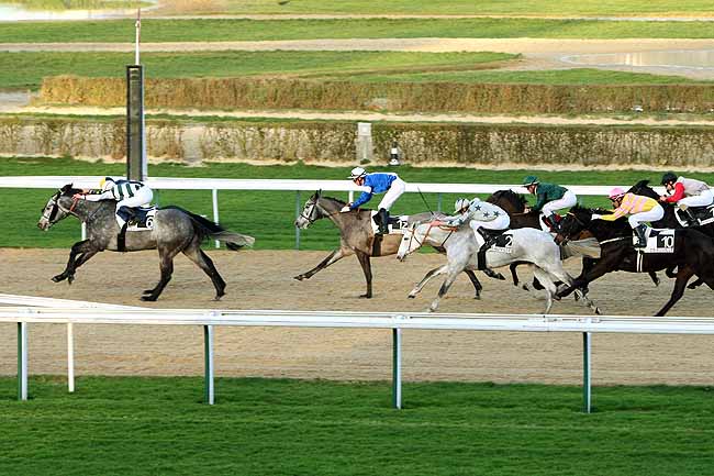 Arrivée quinté pmu PRIX DU ROCHER TOMBELAINE à DEAUVILLE