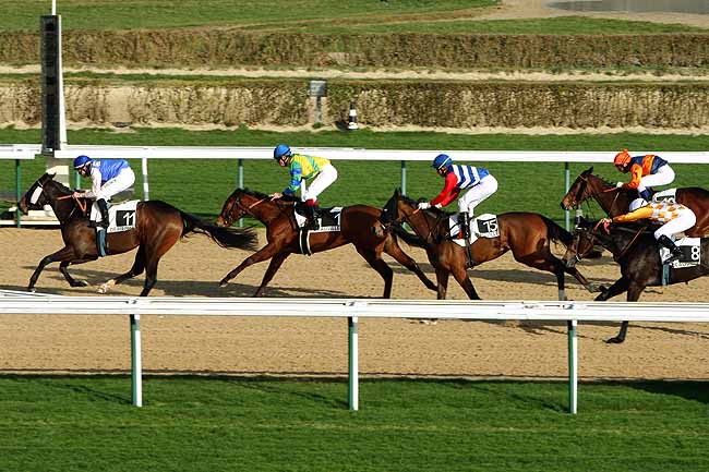 Arrivée quinté pmu PRIX D'HERBOURGERE à DEAUVILLE MIDI