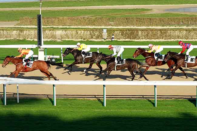 Arrivée quinté pmu PRIX DE RUCQUEVILLE à DEAUVILLE
