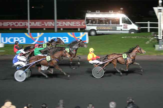 Arrivée quinté pmu PRIX DE COLMAR à PARIS-VINCENNES