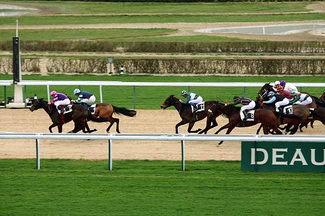 Arrivée quinté pmu PRIX DE LA GELINIERE à DEAUVILLE