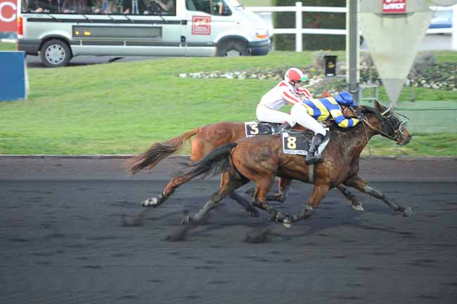 Arrivée quinté pmu PRIX DE ROUBAIX à PARIS-VINCENNES