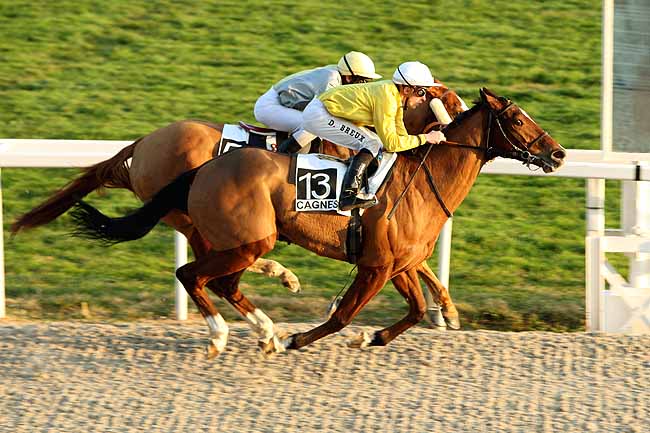 Arrivée quinté pmu PRIX DE MAGNAN à CAGNES-SUR-MER