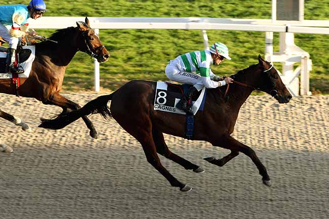 Arrivée quinté pmu PRIX DE LA CORNICHE FLEURIE à CAGNES-SUR-MER