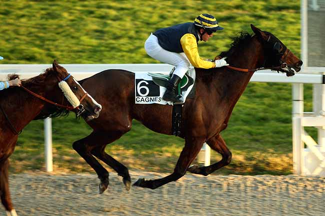 Arrivée quinté pmu PRIX DU VIEUX PORT à CAGNES-SUR-MER