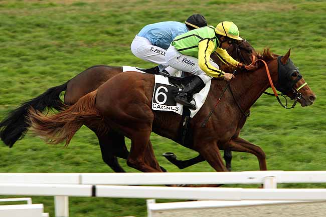 Arrivée quinté pmu PRIX DE FORVILLE à CAGNES-SUR-MER