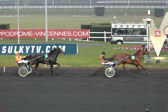 Arrivée quinté pmu PRIX D'AMBERT à PARIS-VINCENNES