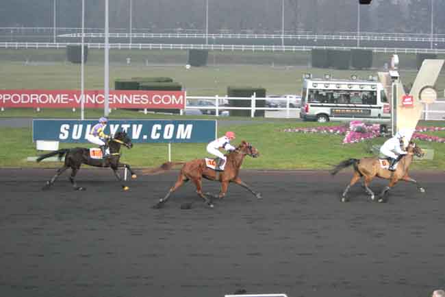 Arrivée quinté pmu PRIX DE CARCASSONNE à PARIS-VINCENNES