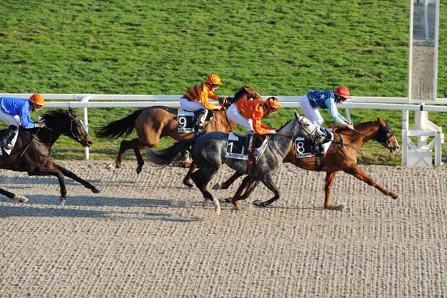 Arrivée quinté pmu PRIX DE SORMIOU à CAGNES-SUR-MER