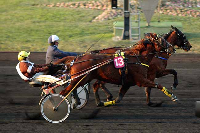 Arrivée quinté pmu PRIX DE BOURG-EN-BRESSE à PARIS-VINCENNES