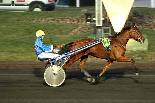 Arrivée quinté pmu PRIX DE SELESTAT à PARIS-VINCENNES