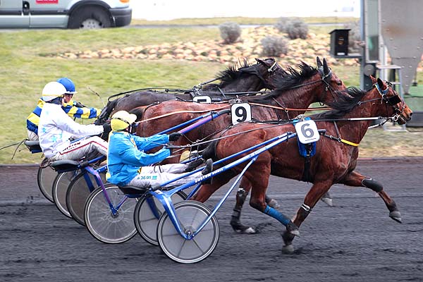Arrivée quinté pmu PRIX DU MESLE à PARIS-VINCENNES
