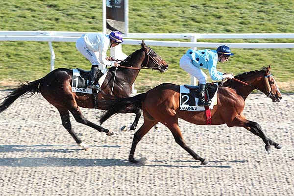 Arrivée quinté pmu PRIX DES CHEVREFEUILLES à CAGNES-SUR-MER
