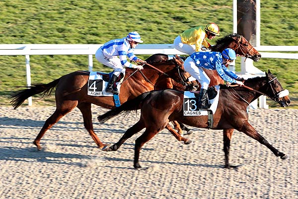 Arrivée quinté pmu PRIX DES CROCUS à CAGNES-SUR-MER