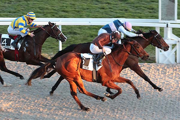 Arrivée quinté pmu PRIX DE COGOLIN à CAGNES-SUR-MER