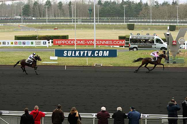Arrivée quinté pmu PRIX HOLLY DU LOCTON à PARIS-VINCENNES