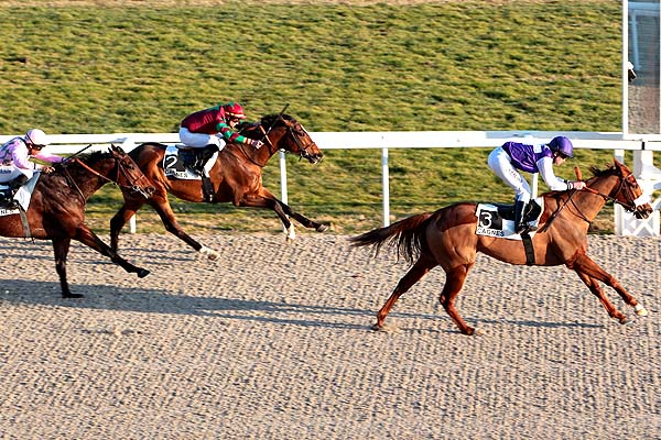 Arrivée quinté pmu PRIX DU PHARE DE LA GAROUPE à CAGNES-SUR-MER