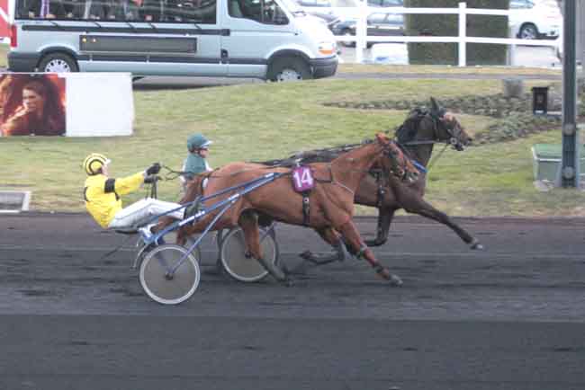 Arrivée quinté pmu CRITERIUM DES JEUNES à PARIS-VINCENNES