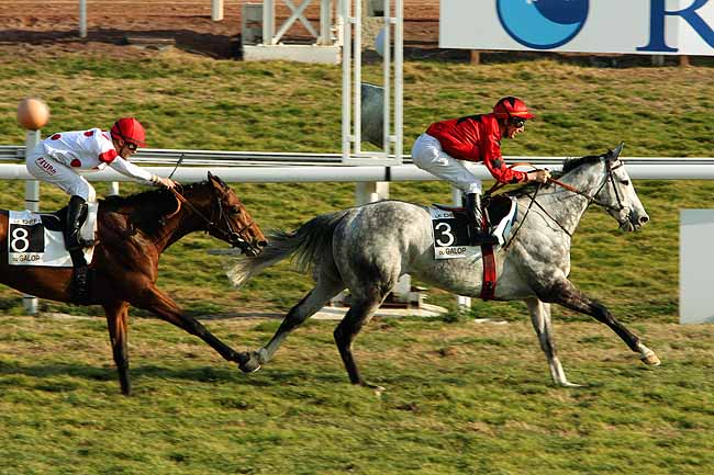 Arrivée quinté pmu GRAND PRIX DU CONSEIL GENERAL DES ALPES MARITIMES (1ERE ETAPE DU DEFI DU GALOP) à CAGNES-SUR-MER