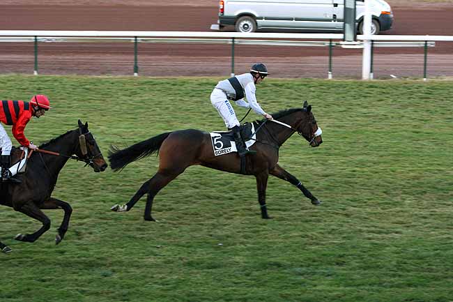 Arrivée quinté pmu PRIX DANIEL ROSSIO à MARSEILLE-BORELY
