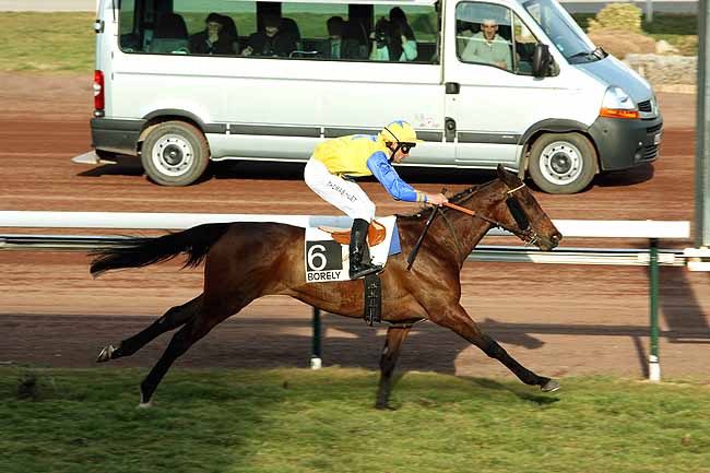 Arrivée quinté pmu PRIX DE LYON-PARILLY à MARSEILLE-BORELY