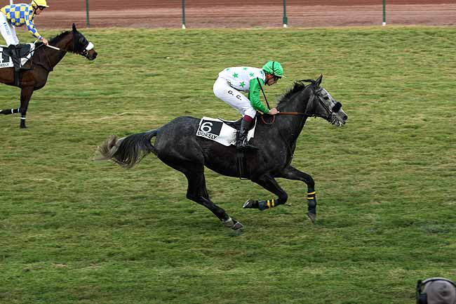 Arrivée quinté pmu PRIX DE LA PLANCHE à MARSEILLE-BORELY