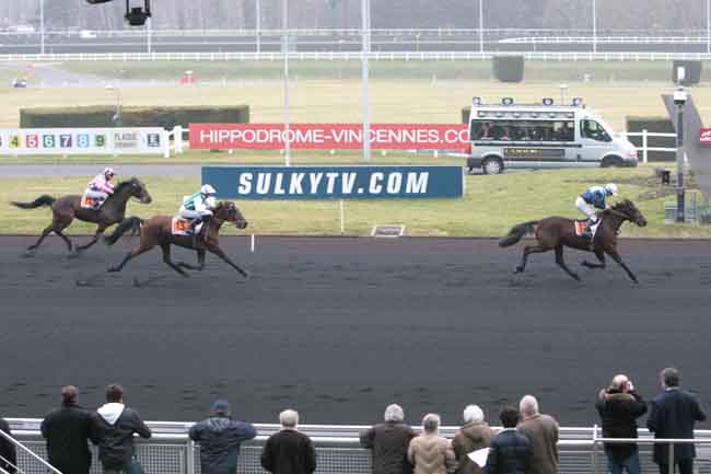 Arrivée quinté pmu PRIX ALI HAWAS à PARIS-VINCENNES