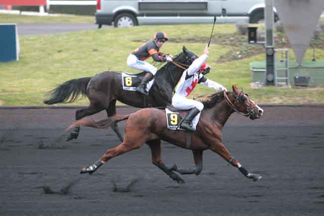 Arrivée quinté pmu PRIX FELICIEN GAUVREAU à PARIS-VINCENNES