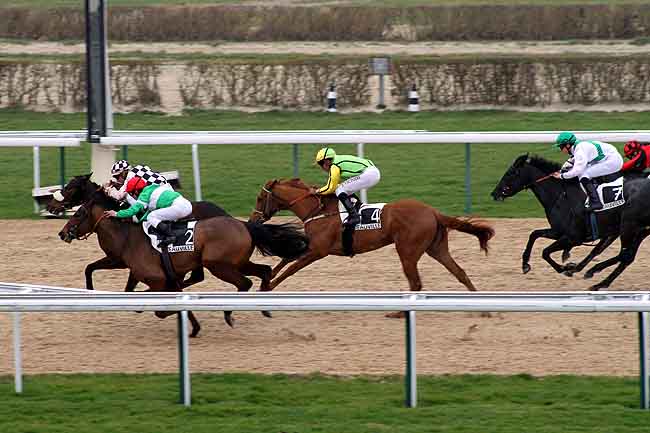 Arrivée quinté pmu PRIX DE SAINT-VALERY à DEAUVILLE
