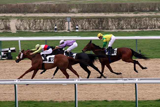 Arrivée quinté pmu PRIX DU CAP DE LA HEVE à DEAUVILLE