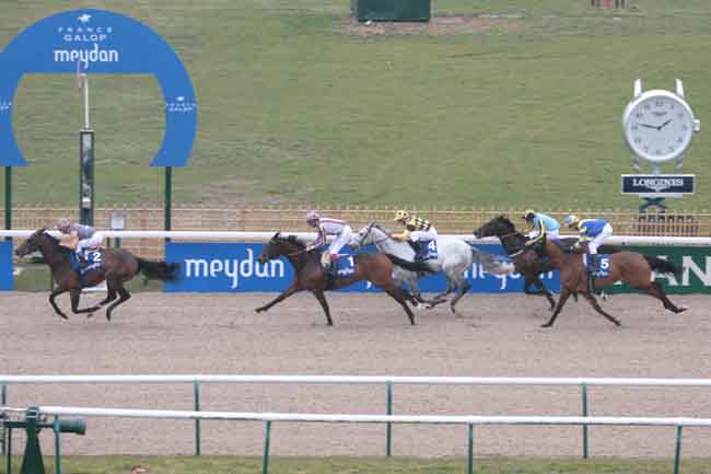 Arrivée quinté pmu PRIX MEYDAN HOTEL à CHANTILLY