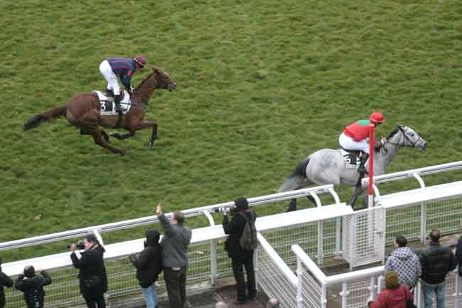 Arrivée quinté pmu PRIX JUIGNE à AUTEUIL