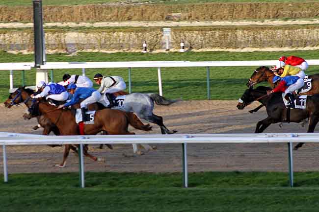 Arrivée quinté pmu PRIX DE LA SEINE MARITIME à DEAUVILLE