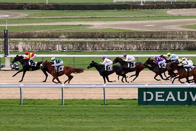 Arrivée quinté pmu PRIX DU PAYS DE BRAY à DEAUVILLE