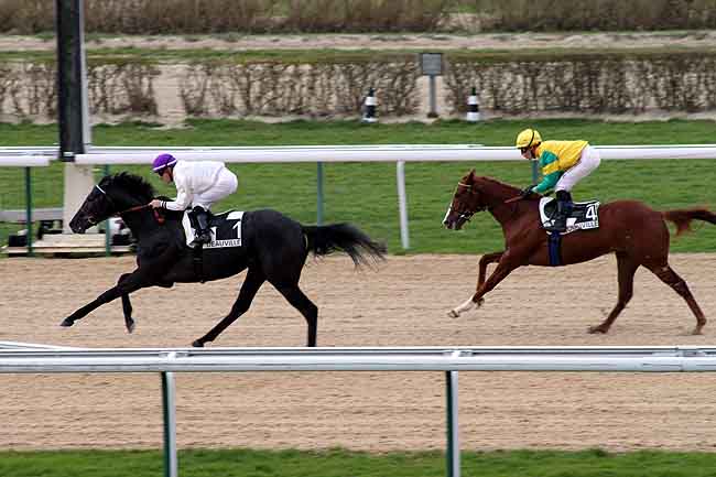 Arrivée quinté pmu PRIX DU PERCHE à DEAUVILLE