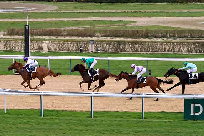 Arrivée quinté pmu PRIX DE LA PILLIERE à DEAUVILLE