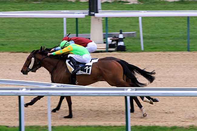 Arrivée quinté pmu PRIX DE LA VIE à DEAUVILLE