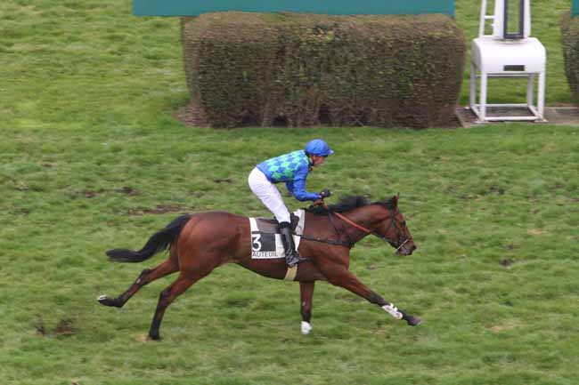 Arrivée quinté pmu PRIX DUC D'ANJOU à AUTEUIL