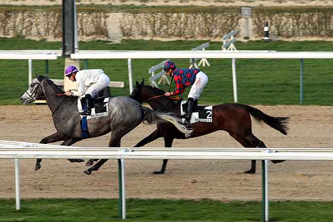 Arrivée quinté pmu PRIX DES AIGUILLES à DEAUVILLE
