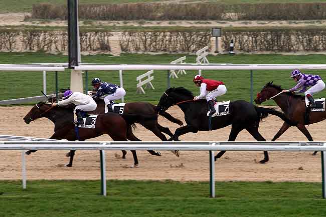 Arrivée quinté pmu PRIX DE COULONCES à DEAUVILLE