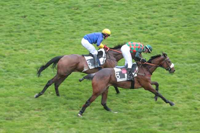 Arrivée quinté pmu PRIX JEAN-CLAUDE EVAIN à AUTEUIL