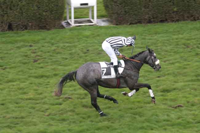 Arrivée quinté pmu PRIX DE LA CHRISTINIERE à AUTEUIL