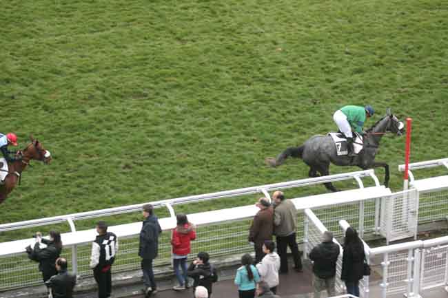 Arrivée quinté pmu PRIX SAMARITAIN à AUTEUIL