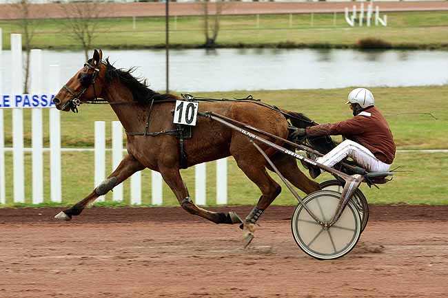Arrivée quinté pmu PRIX D'AGEN à AGEN LE PASSAGE